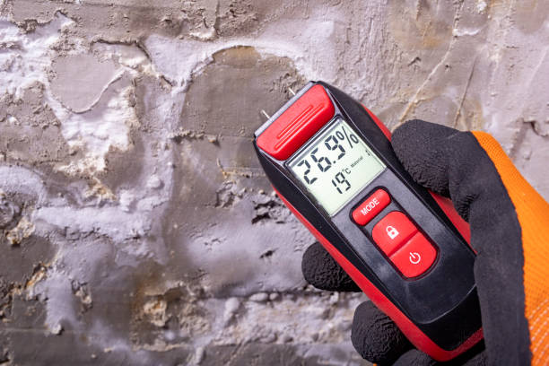 Best Mold Testing  in Clayton, AL