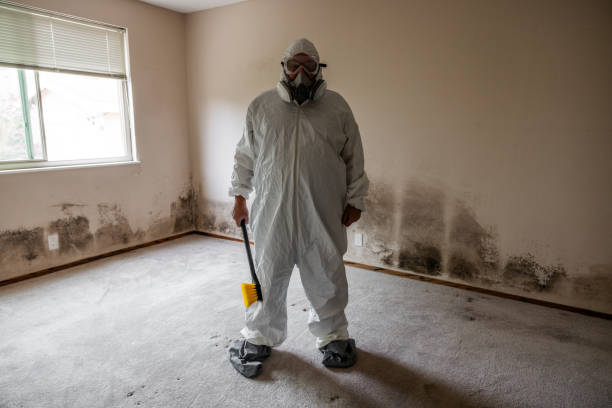 Best Attic Mold Removal  in Clayton, AL